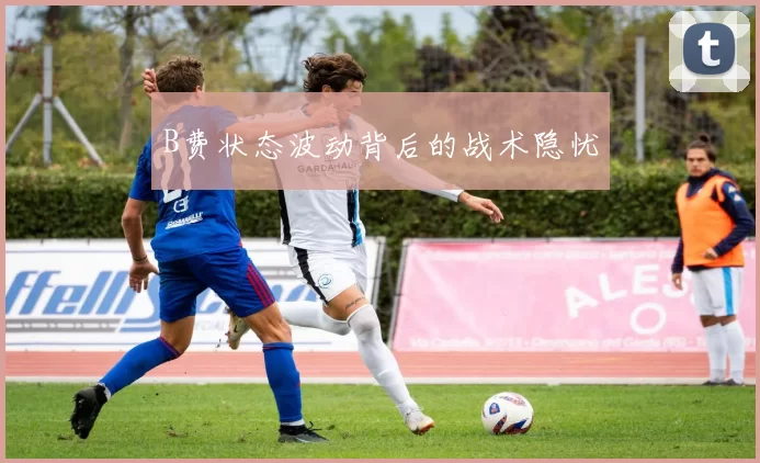 B费状态波动背后的战术隐忧