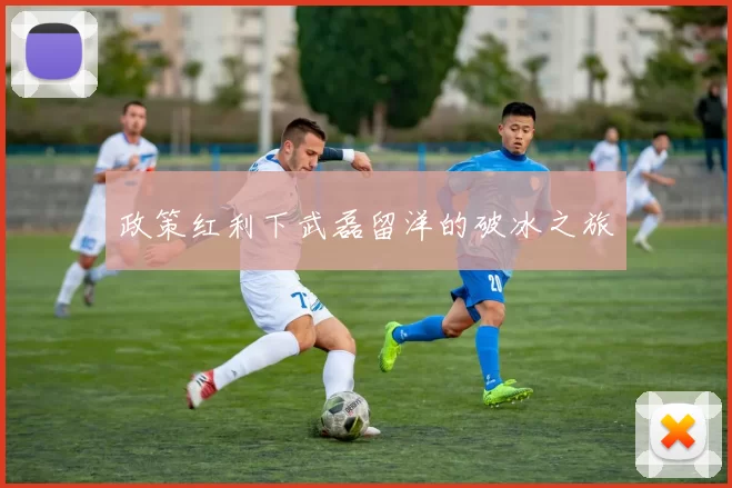 政策红利下武磊留洋的破冰之旅