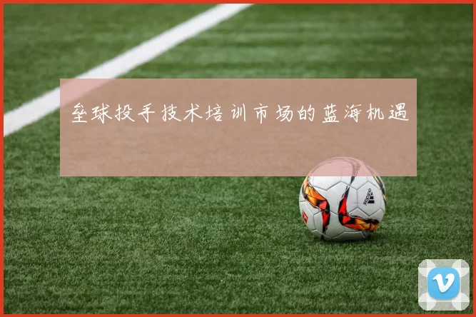垒球投手技术培训市场的蓝海机遇