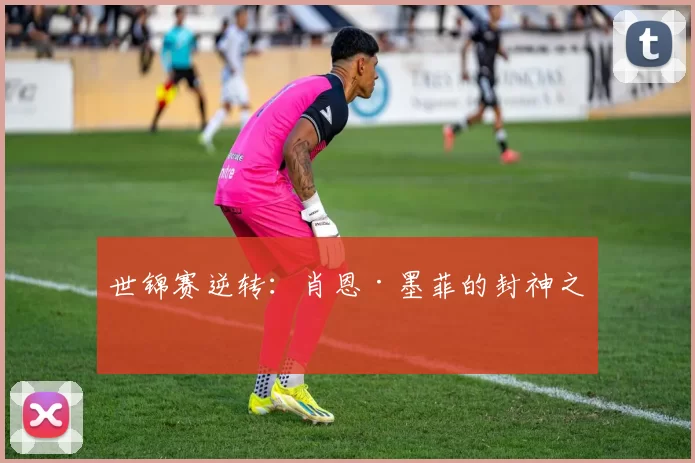 世锦赛逆转：肖恩·墨菲的封神之战