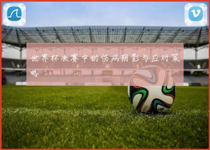 世界杯决赛中的伤病阴影与应对策略