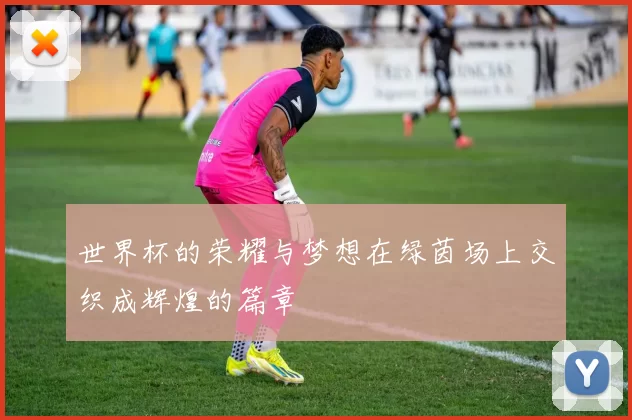 世界杯的荣耀与梦想在绿茵场上交织成辉煌的篇章